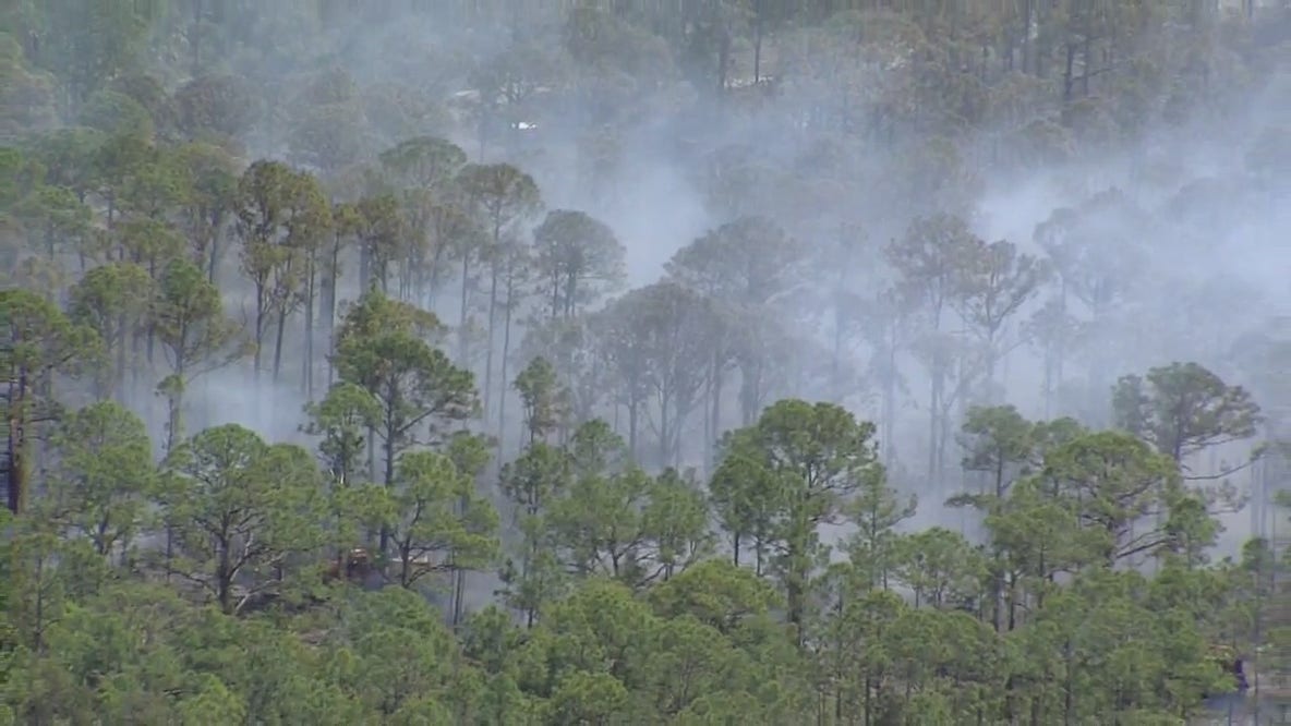 Brush fire breaks out in Melbourne Wednesday afternoon